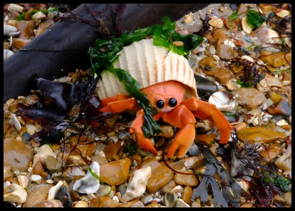 toy crab.jpg